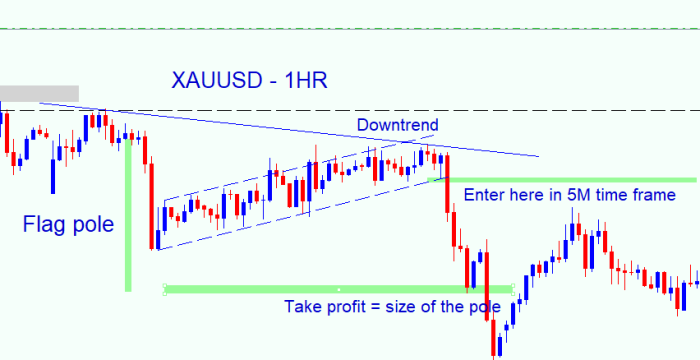 I will coach you with a proven forex trading strategy for consistent profits